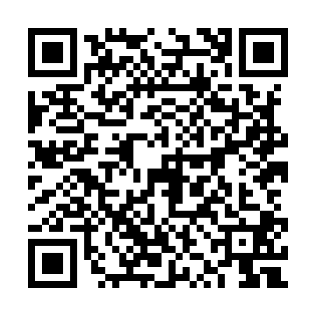 QR code for 6ZHI009