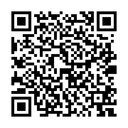 QR code for 6ZHW004
