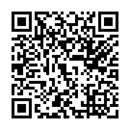QR code for 7AXI387