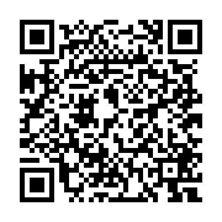 QR code for 7GUO493