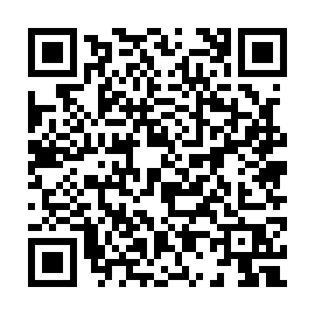 QR code for 80517P2