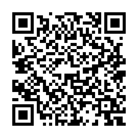 QR code for 82111T2