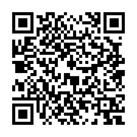 QR code for 84007P2