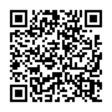QR code for 87161W2