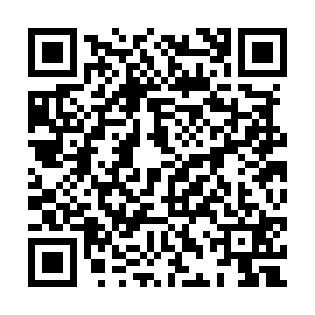 QR code for 8DSM218