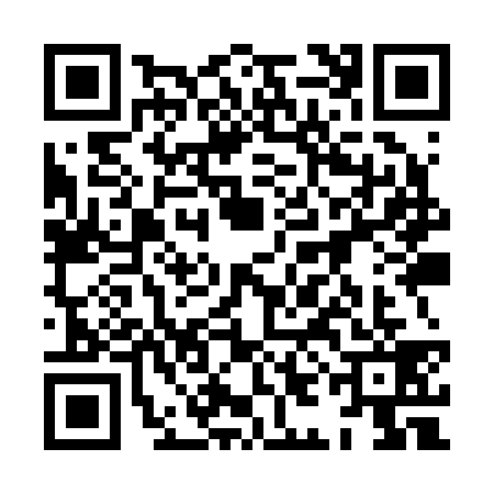 QR code for 8IIR394