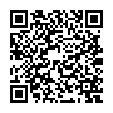 QR code for 8IPP049
