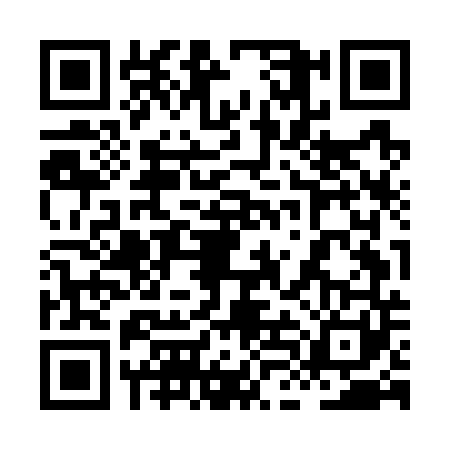 QR code for 8LMG411