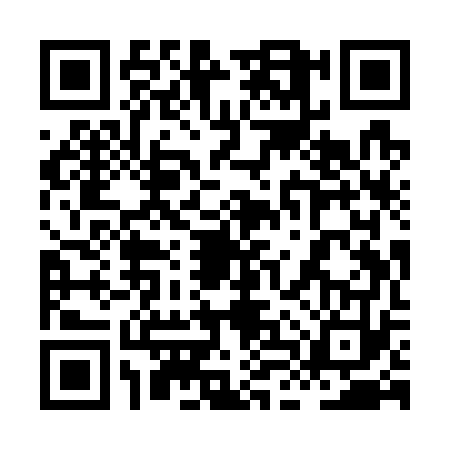 QR code for 8LYW738
