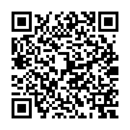 QR code for 8LZS513