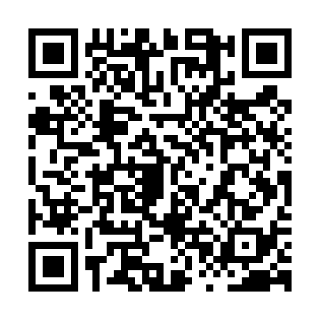 QR code for 8PET381