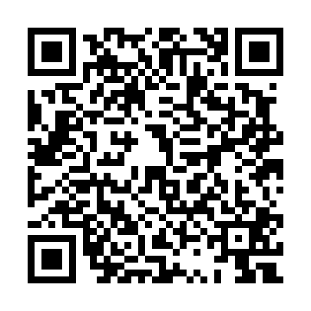 QR code for 8SKD011
