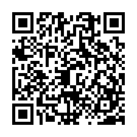 QR code for 8VIS466