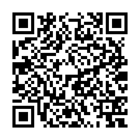 QR code for 8XWZ333