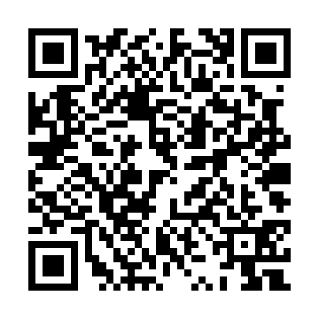 QR code for 8ZDP311