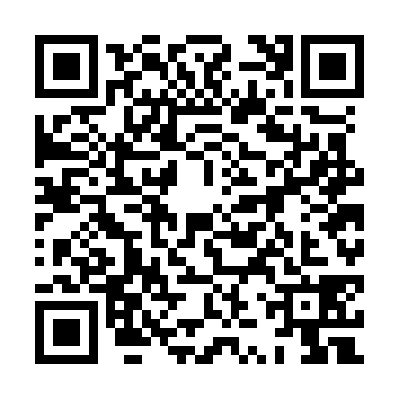 QR code for 8ZWO384