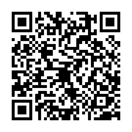 QR code for 91009Z2