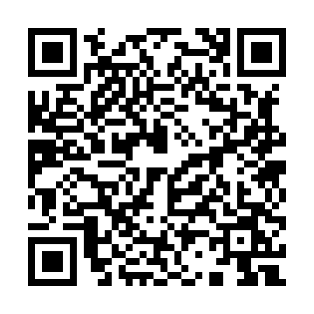 QR code for 92384N1