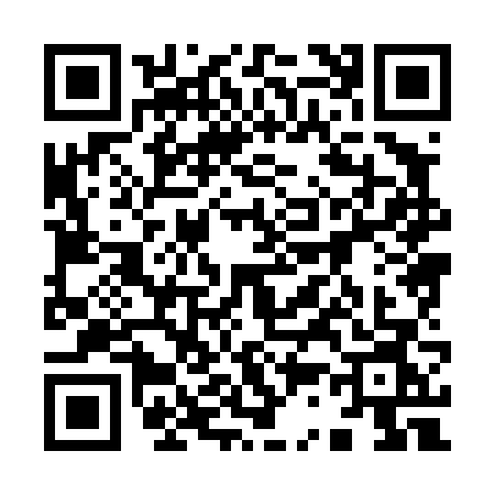 QR code for 93846N2