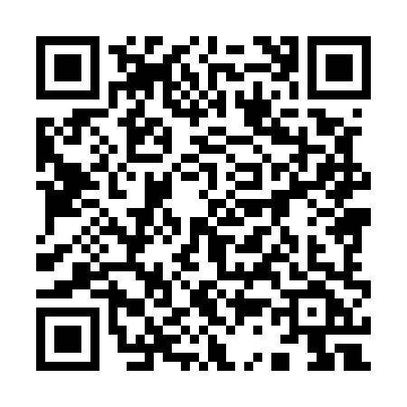 QR code for 93858F3