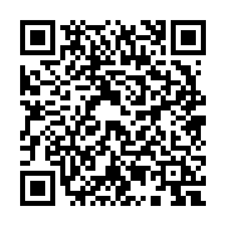 QR code for 95066H2