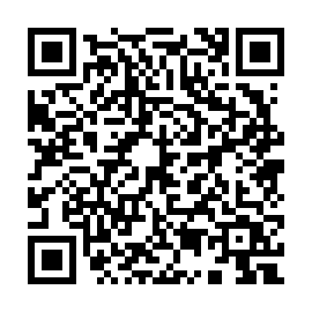QR code for 95066T2