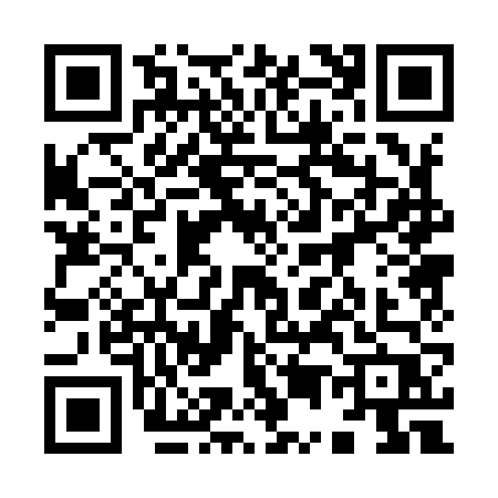 QR code for 95096P2