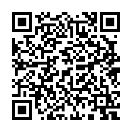 QR code for 96003Z2
