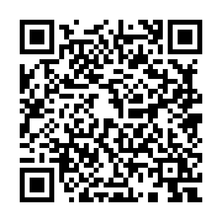 QR code for 96080Y2