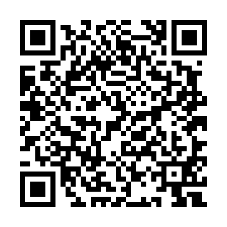 QR code for 9AUD911