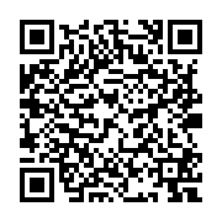 QR code for 9AYY009