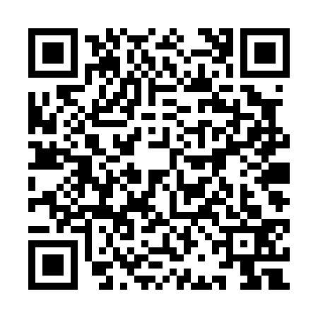 QR code for 9BDP333