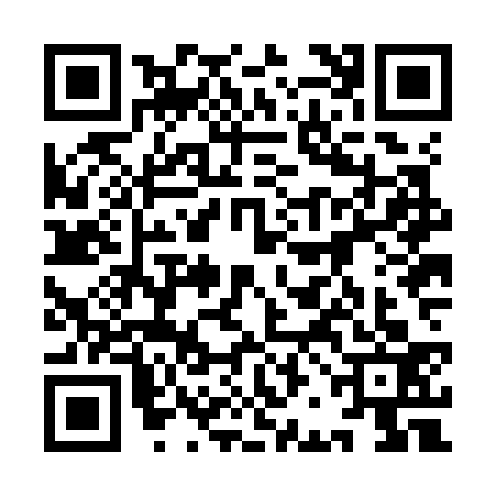 QR code for 9BJK338