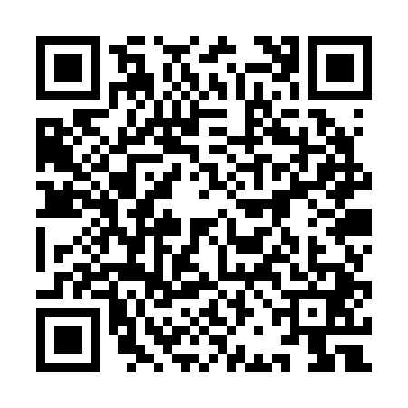 QR code for 9BOR419
