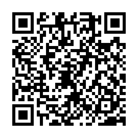 QR code for 9BSW225