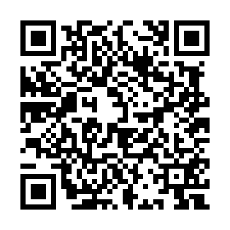 QR code for 9BZL511