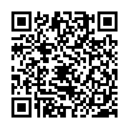 QR code for 9IIS519