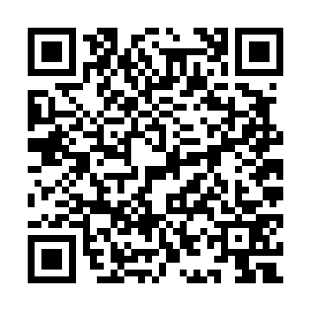 QR code for 9IVD738