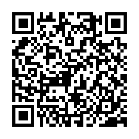 QR code for 9IVS371