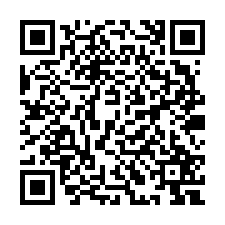 QR code for 9LAV273