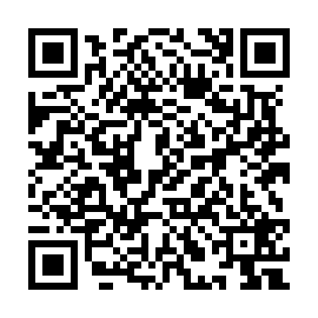 QR code for 9LMN295