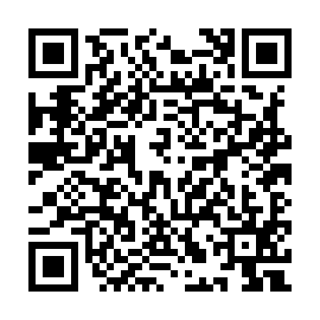 QR code for 9LPI950