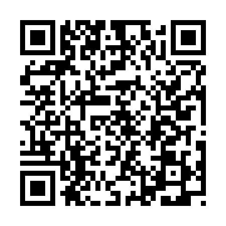QR code for 9LPJ295