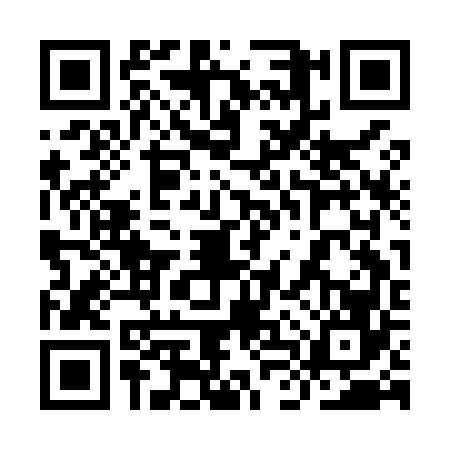 QR code for 9LSM661