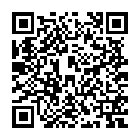 QR code for 9LZN509