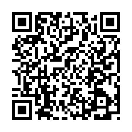 QR code for 9LZZ376