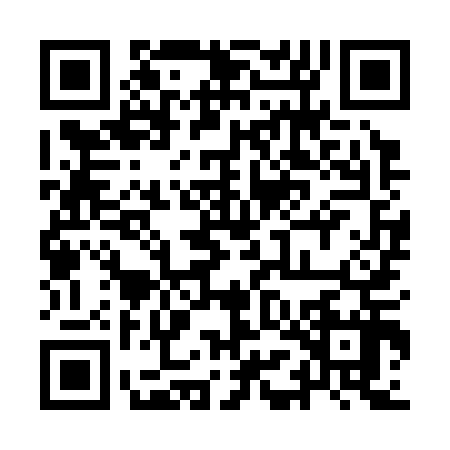 QR code for 9MIS173