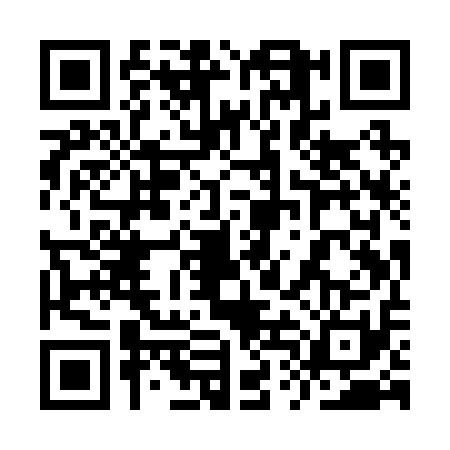 QR code for 9TIR113