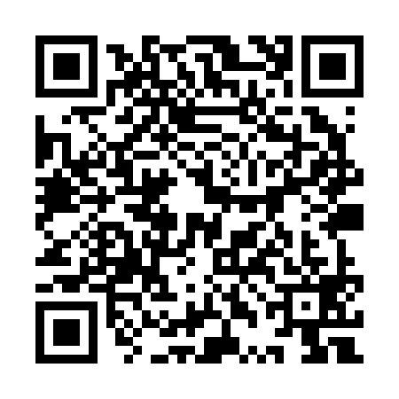 QR code for 9TIR993