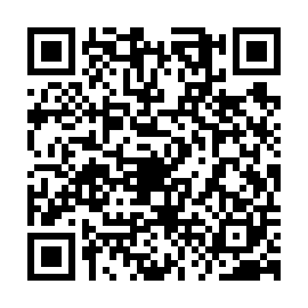 QR code for 9VIV003